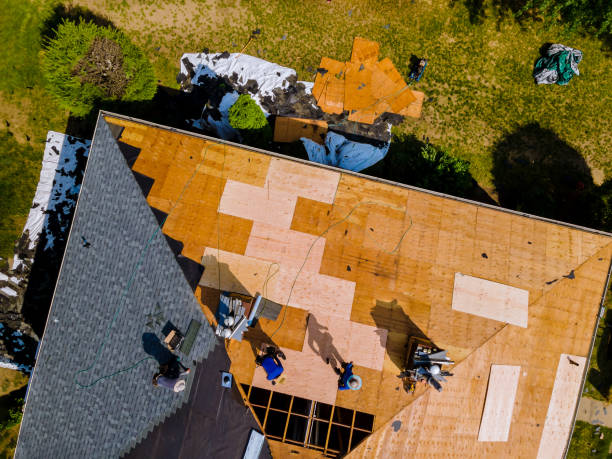 Best Metal Roofing Contractor  in Nes, IL