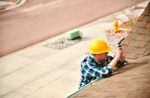 Best Flat Roof Repair Services  in Nes, IL