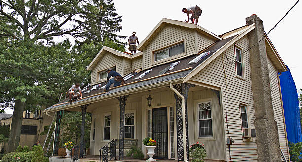 Best Roof Gutter Cleaning  in Nes, IL