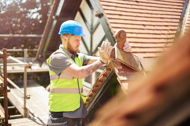 Best Emergency Roof Repair  in Nes, IL