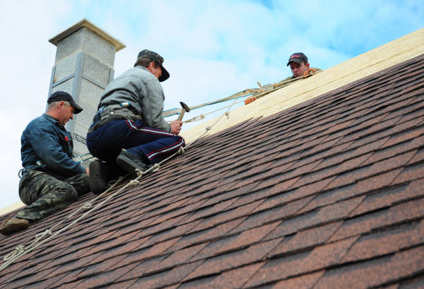 Best Residential Roofing Contractor  in Nes, IL