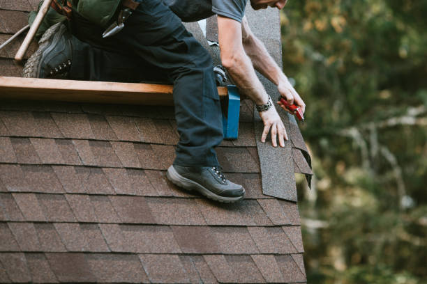 Best New Roof Installation  in Nes, IL
