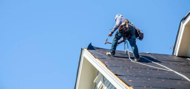 Best Commercial Roofing Services  in Nes, IL